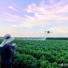农业的无人机，打药施肥超高效