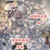 假冒伪劣蛤蜊，监管部门严查