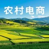 农村电商服务站全覆盖，农产品出山更顺畅