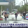 欧洲多国遭遇极端天气 农业生产受影响