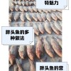 鳙鱼消费增长，食品消费市场扩容
