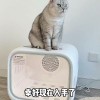 宠物智能烘干箱，给宠物洗澡再也不用吹毛了