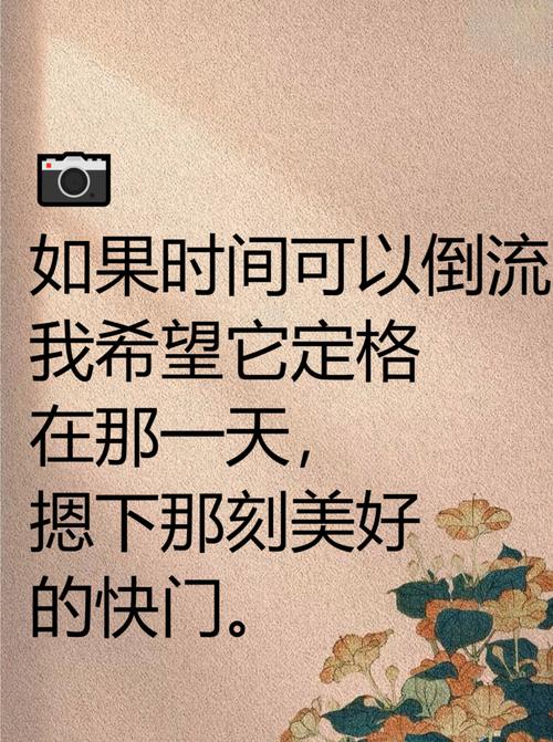 一张照片一段回忆，温柔的故事总能治愈受伤的心灵