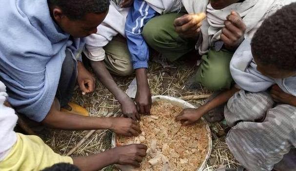 非洲多国遭遇严重旱灾,粮食安全危机加剧