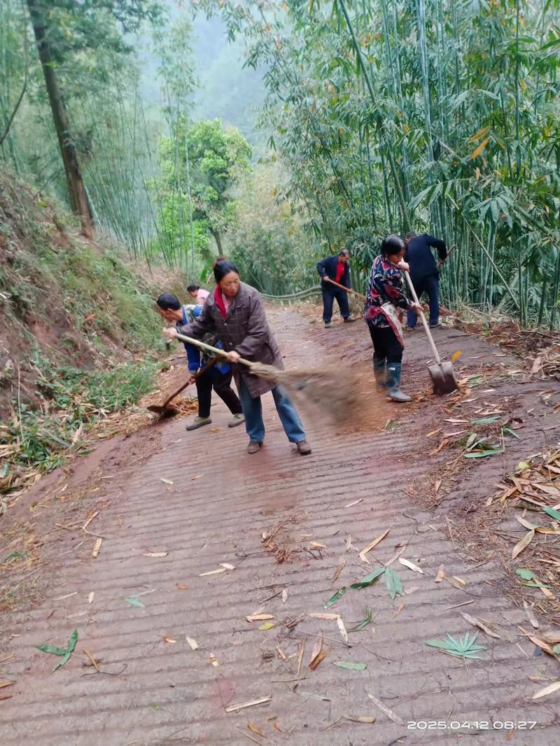 农村道路养护加强，村民出行条件持续改善