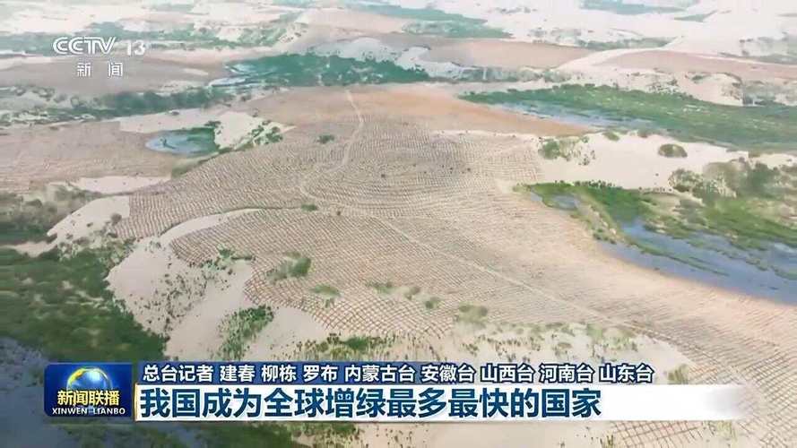 全球森林资源恢复,多国开展大规模植树造林