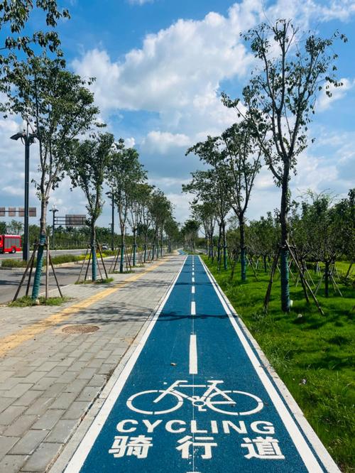 城市慢行系统改造推进，骑行步行环境持续改善