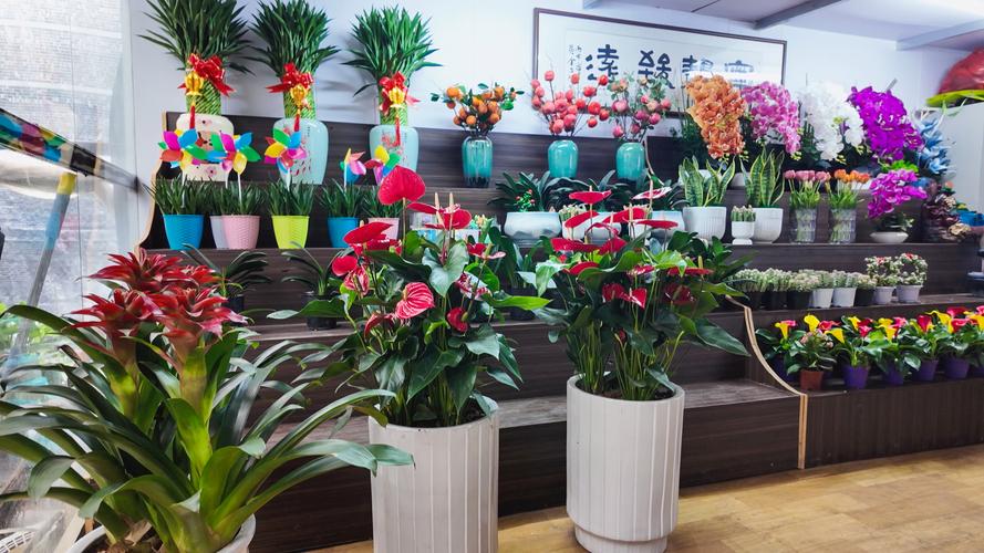 鲜花绿植消费常态化,节日与日常需求同步增长