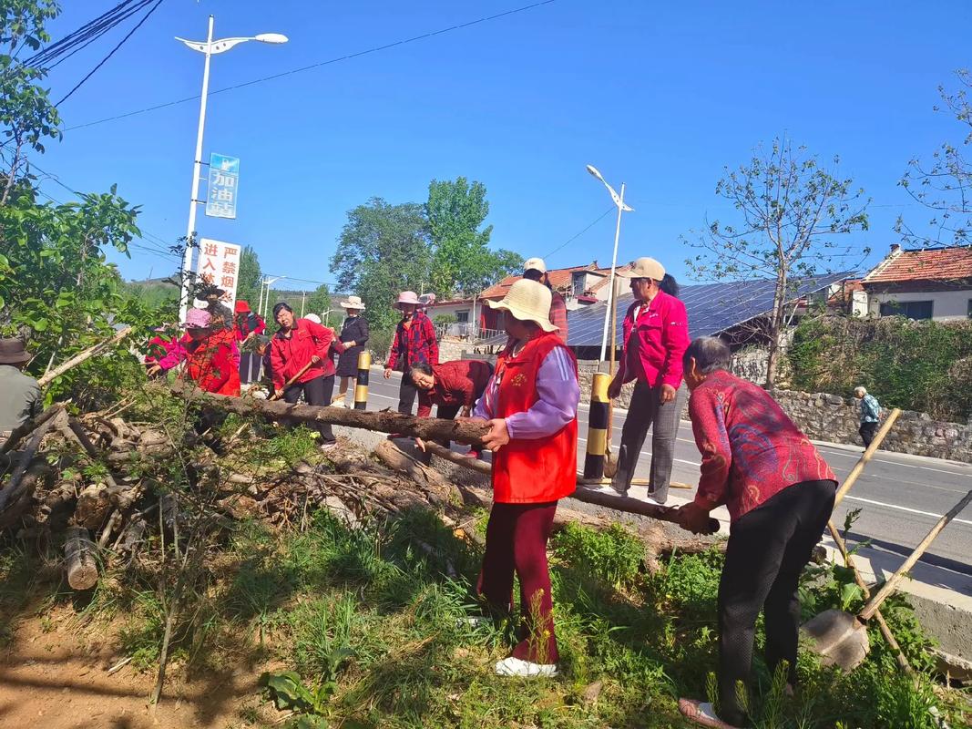 农村人居环境整治,改厕污水治理成效明显