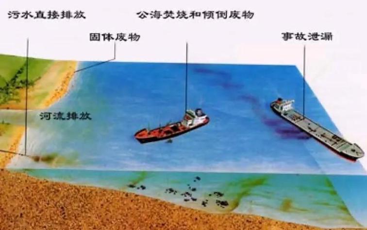 全球海洋污染治理，多国清理海洋塑料垃圾