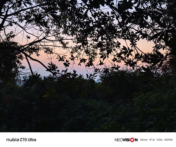 AI摄影算法升级,手机拍摄效果接近专业相机