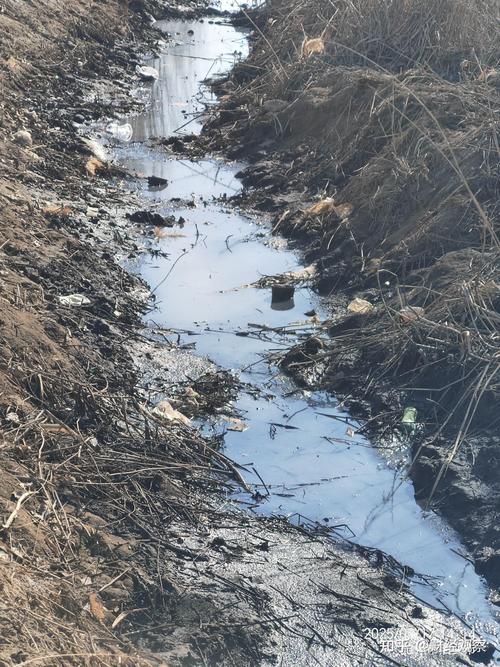 河湖治理成效显现，黑臭水体基本消除