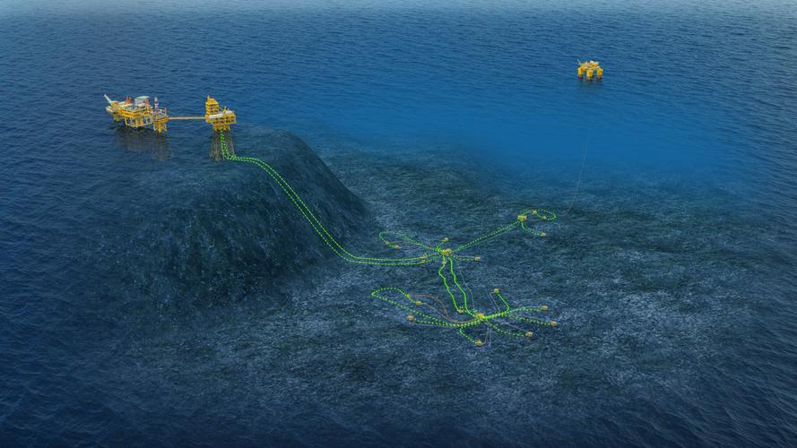 全球深海探测取得突破，新物种与资源被发现