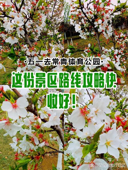 春季踏青赏花人流集中，景区加强安全疏导