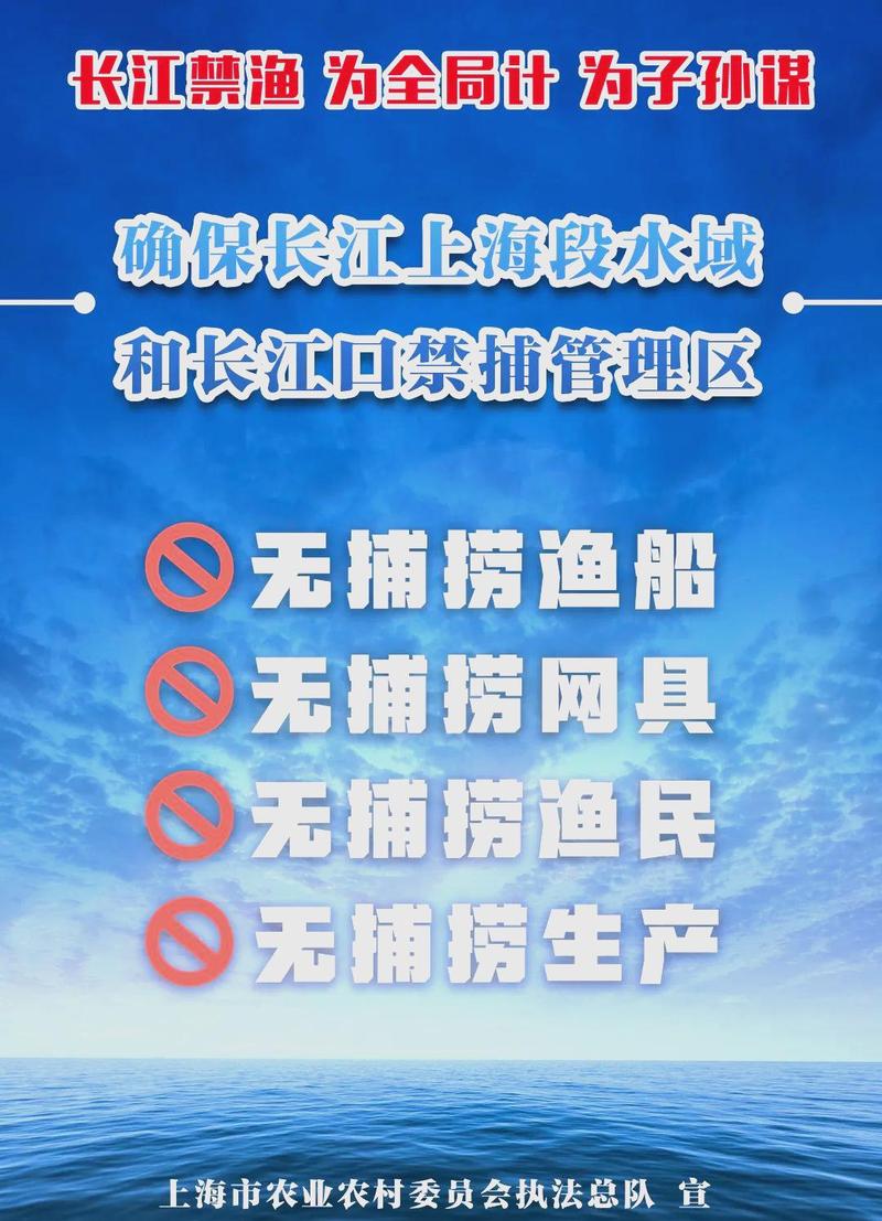 全球渔业资源保护,多国实施休渔与禁捕措施