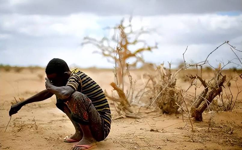 非洲多国蝗灾风险上升,农业生产面临威胁