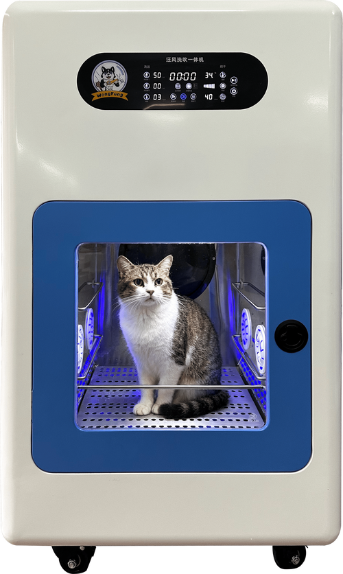 宠物智能用品持续热销，自动设备成养宠标配