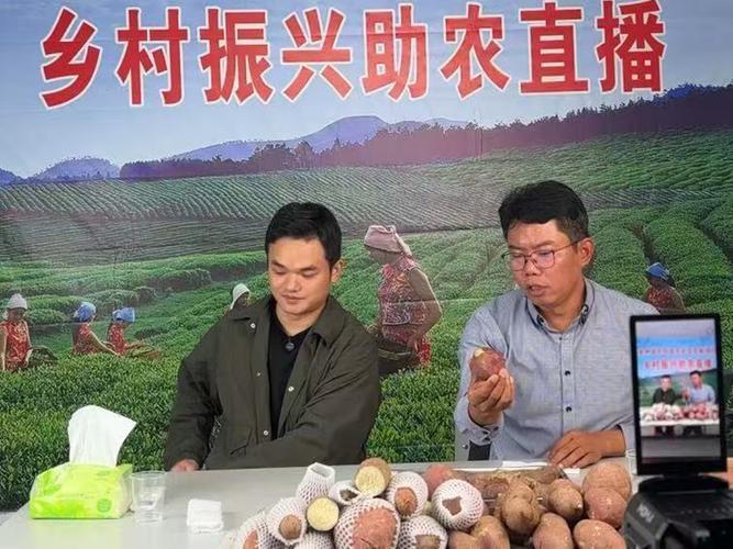 农村电商快速发展，土特产通过直播销往全国