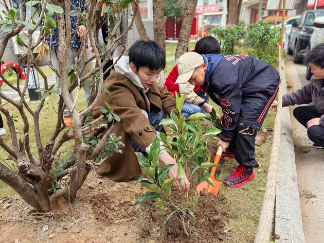 春季植树造林活动开展，生态环境持续改善