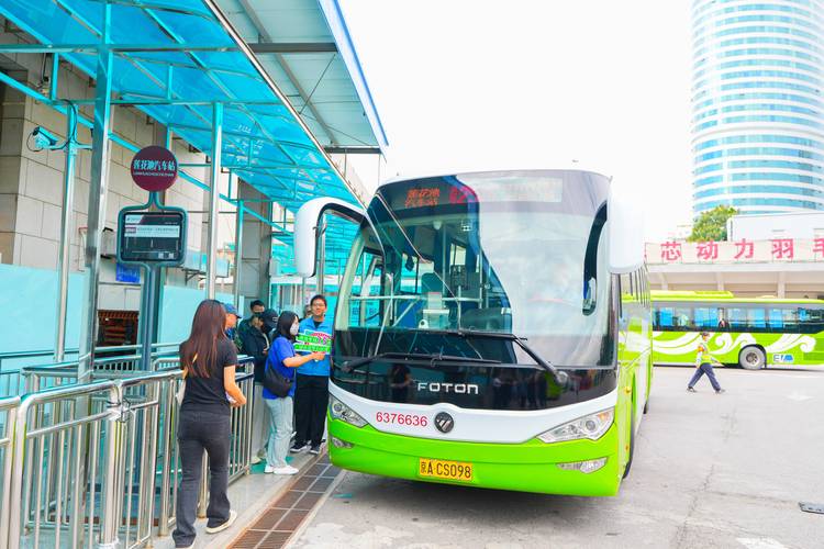 多地开通旅游专线公交，方便市民近郊出行