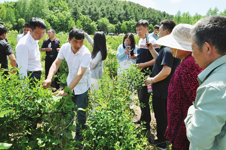 农业技术下乡指导，助力农民增产增收