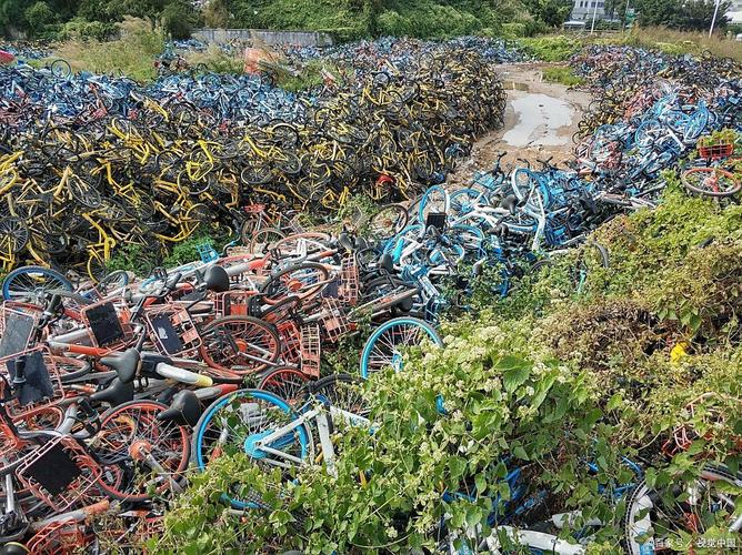 多地整治共享单车乱停放,城市市容更加整洁