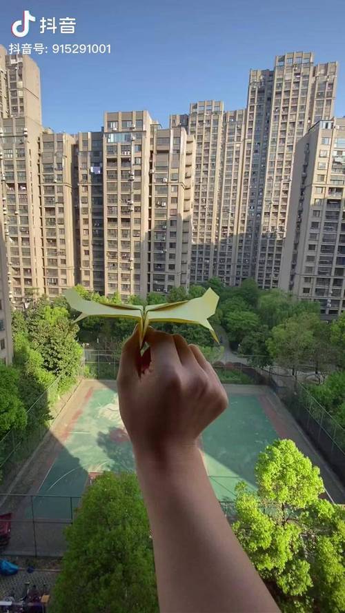 纸飞机中文版官方下载 全平台安装简易教程