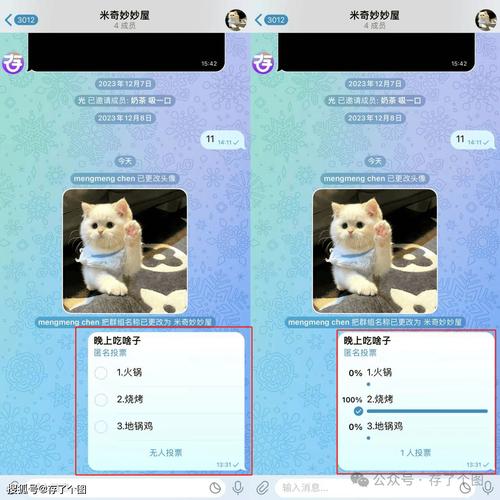 安卓版Telegram中文版 使用手把手教程