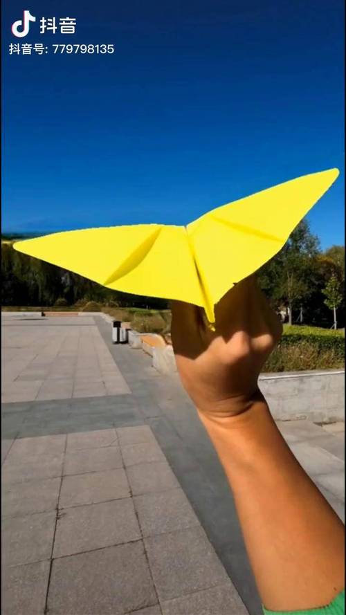 纸飞机最新版 下载与更新方法