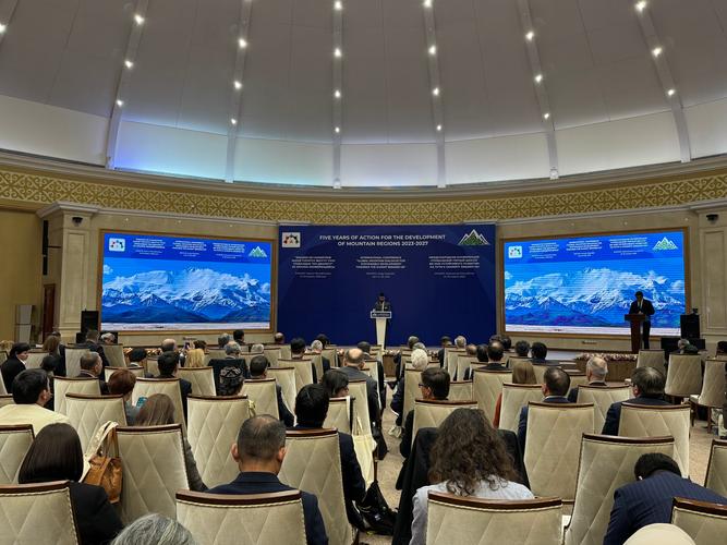 苏里南举办尼克里峰会 促进矿业发展