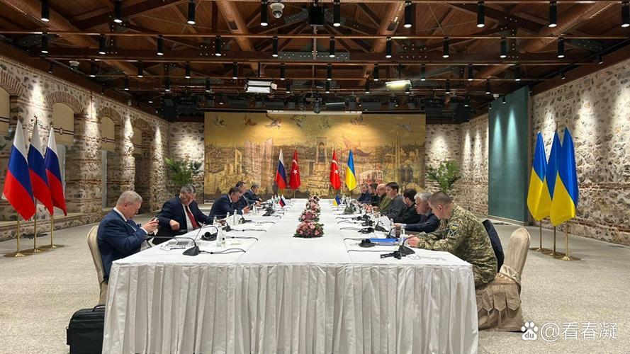 俄罗斯与非洲国家举行峰会 深化能源合作