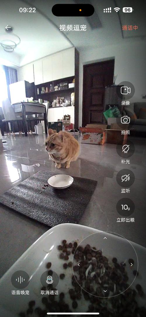 宠物摄像头的语音互动，出门也能跟宠物说话