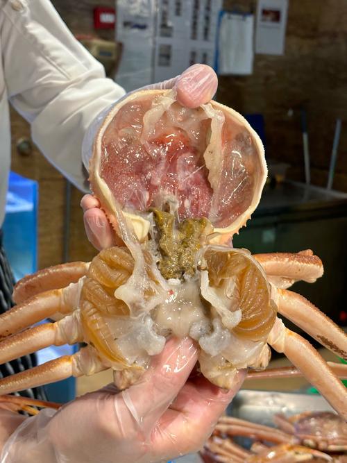 假冒伪劣海鲜自助餐，监管部门严查