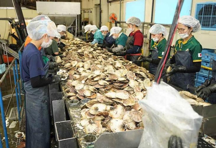 假冒伪劣海鲜机器人,监管部门严查