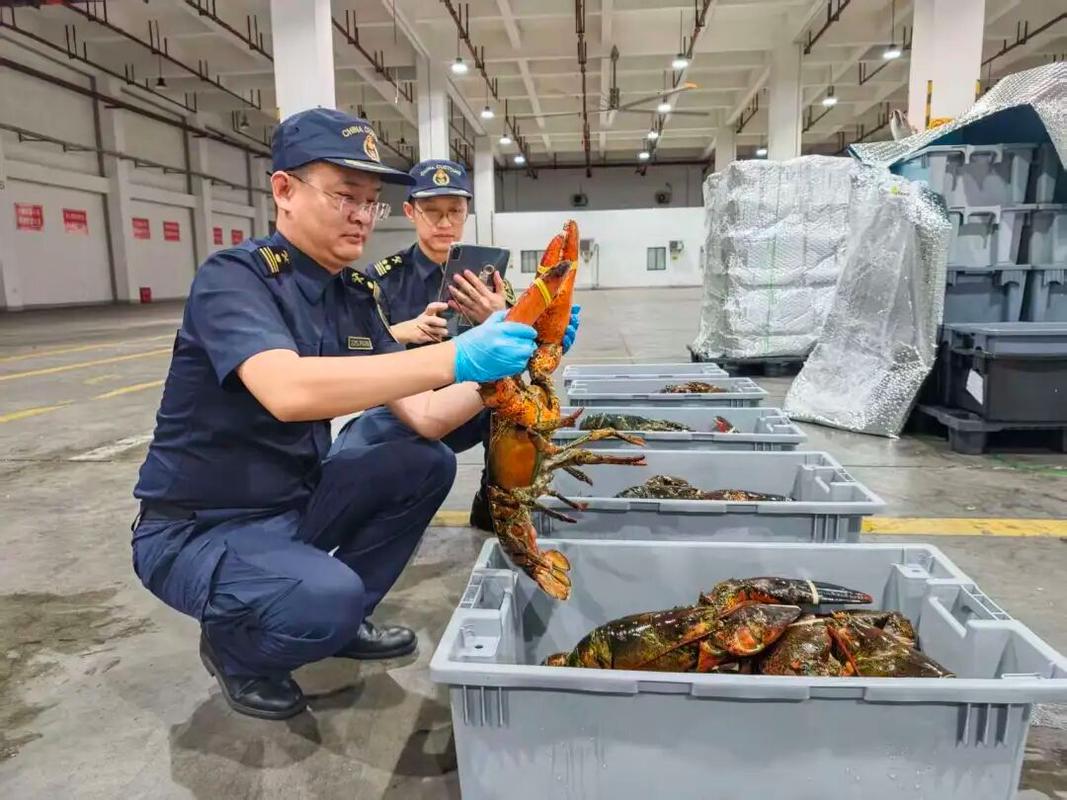 假冒伪劣海鲜加工设备，监管部门严查