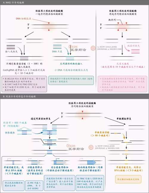 基因编辑的突破，终于能攻克遗传病了