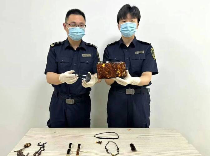 假冒伪劣蛏子，监管部门严查