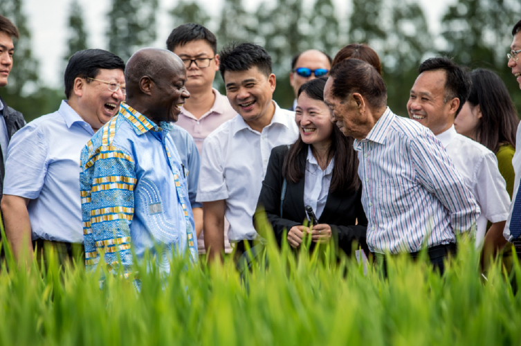 巴拉圭举办恩卡纳西翁峰会 加强农业合作