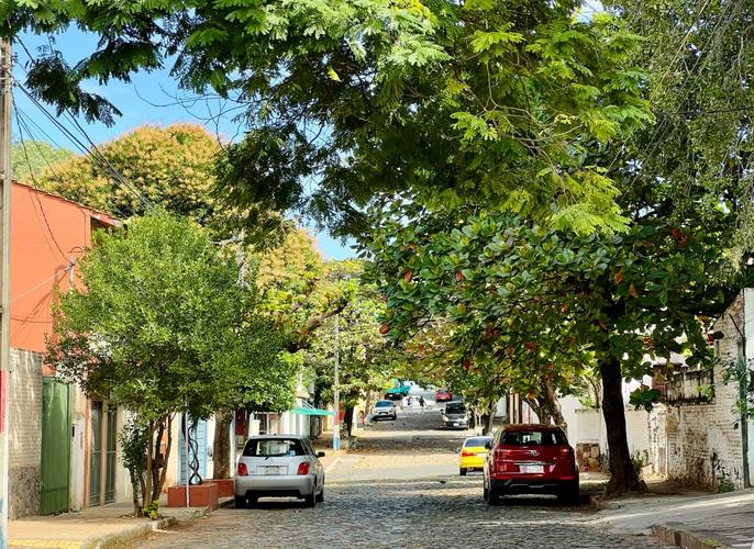 巴拉圭举办亚松森峰会 加强农业合作