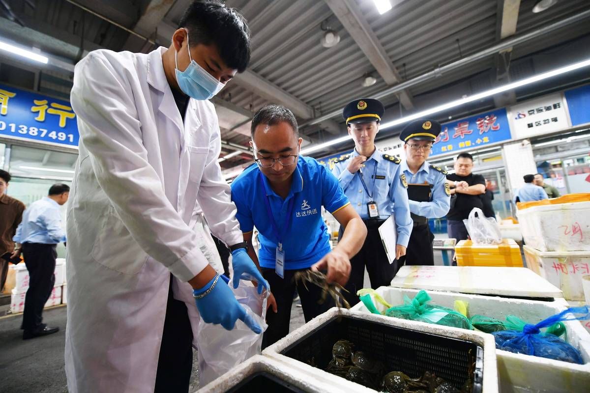 假冒伪劣海鲜文化业,监管部门严查