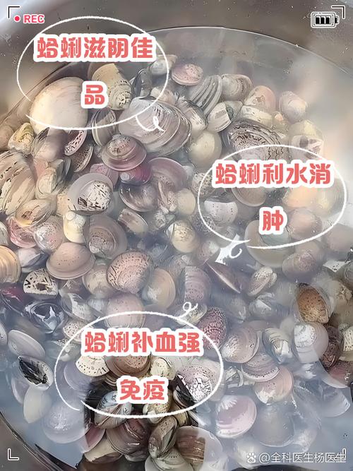 假冒伪劣蛤蜊，监管部门严查