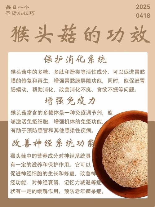 猴头菇消费增长,食品消费市场扩容